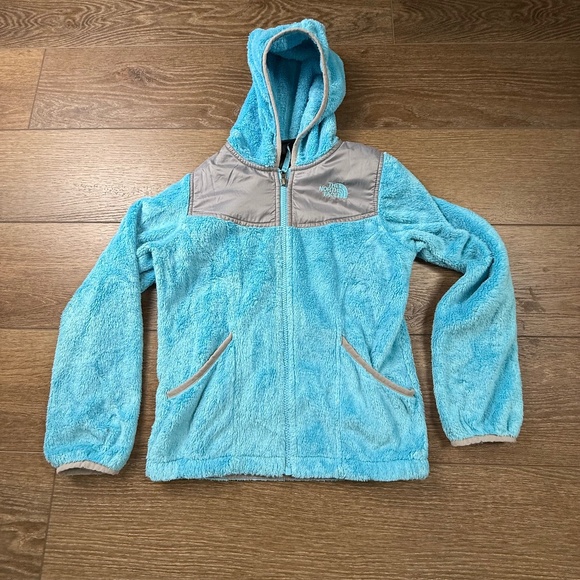 The North Face Girls Hooded Denali Full-Zip Fleece Jacket, M 10/12Fair Condition - Picture 1 of 15
